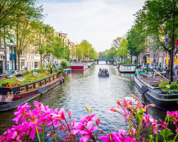 Image -  Italy, France & Netherlands