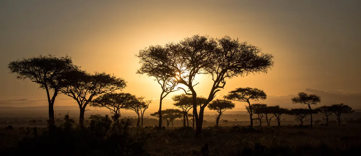 Imagem - Safari Bora en 4x4 - Kenia y Tanzania (Nairobi - Nairobi)