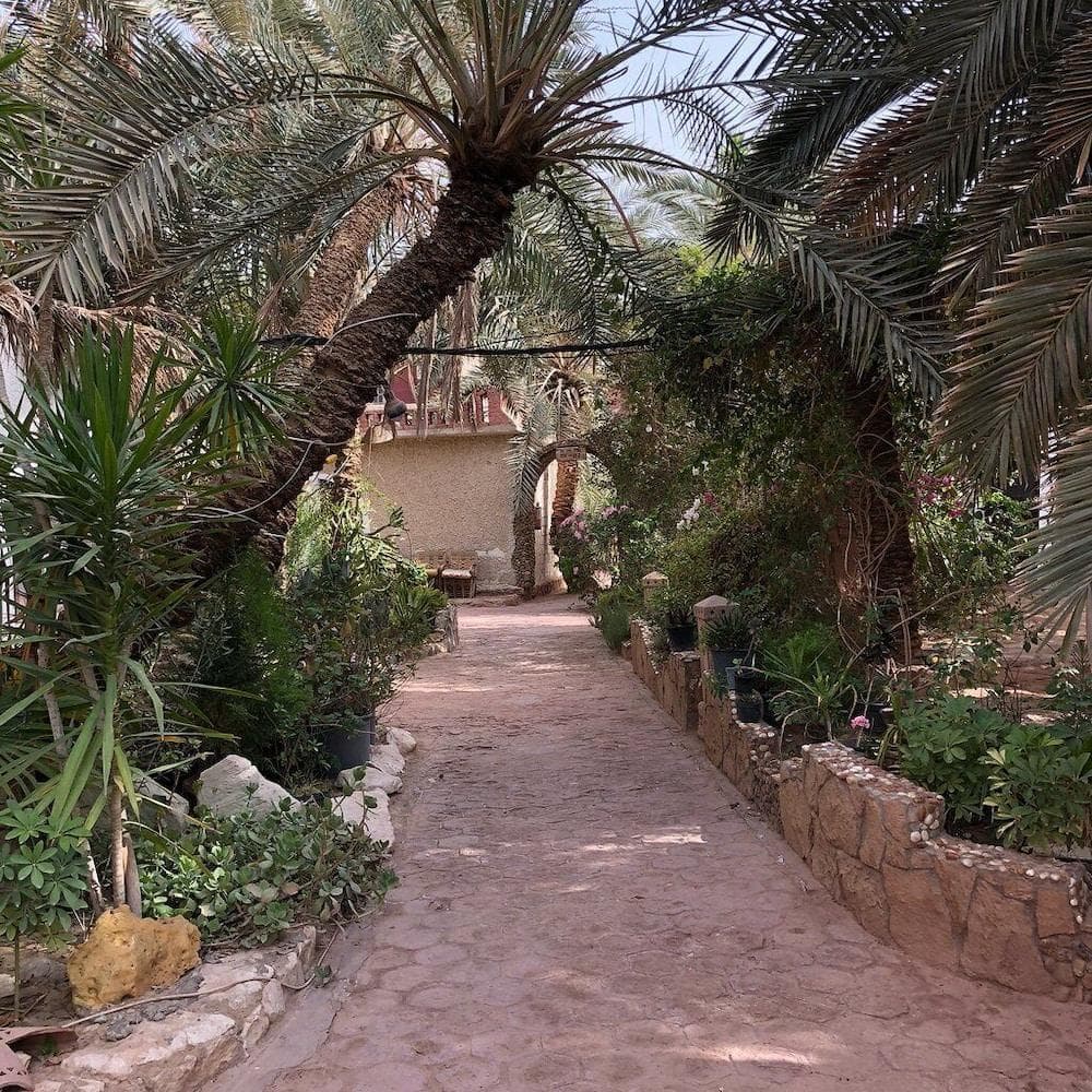 Siwa Safari Paradise Hotel