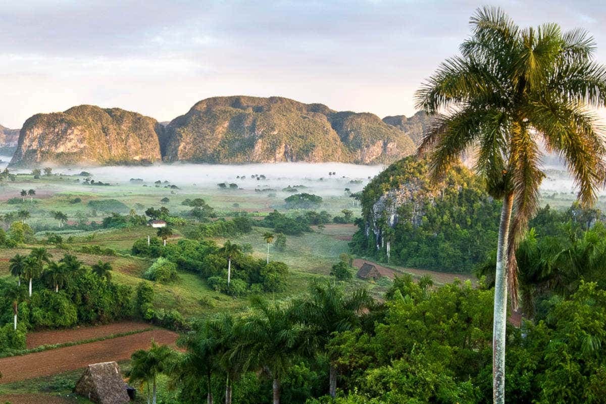 Excursión privada al Valle de Viñales en coche clásico