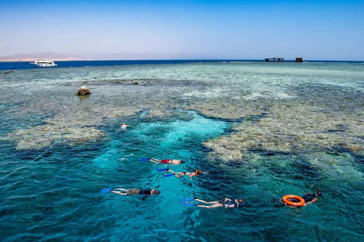 Snorkeling all'Isola di Tiran