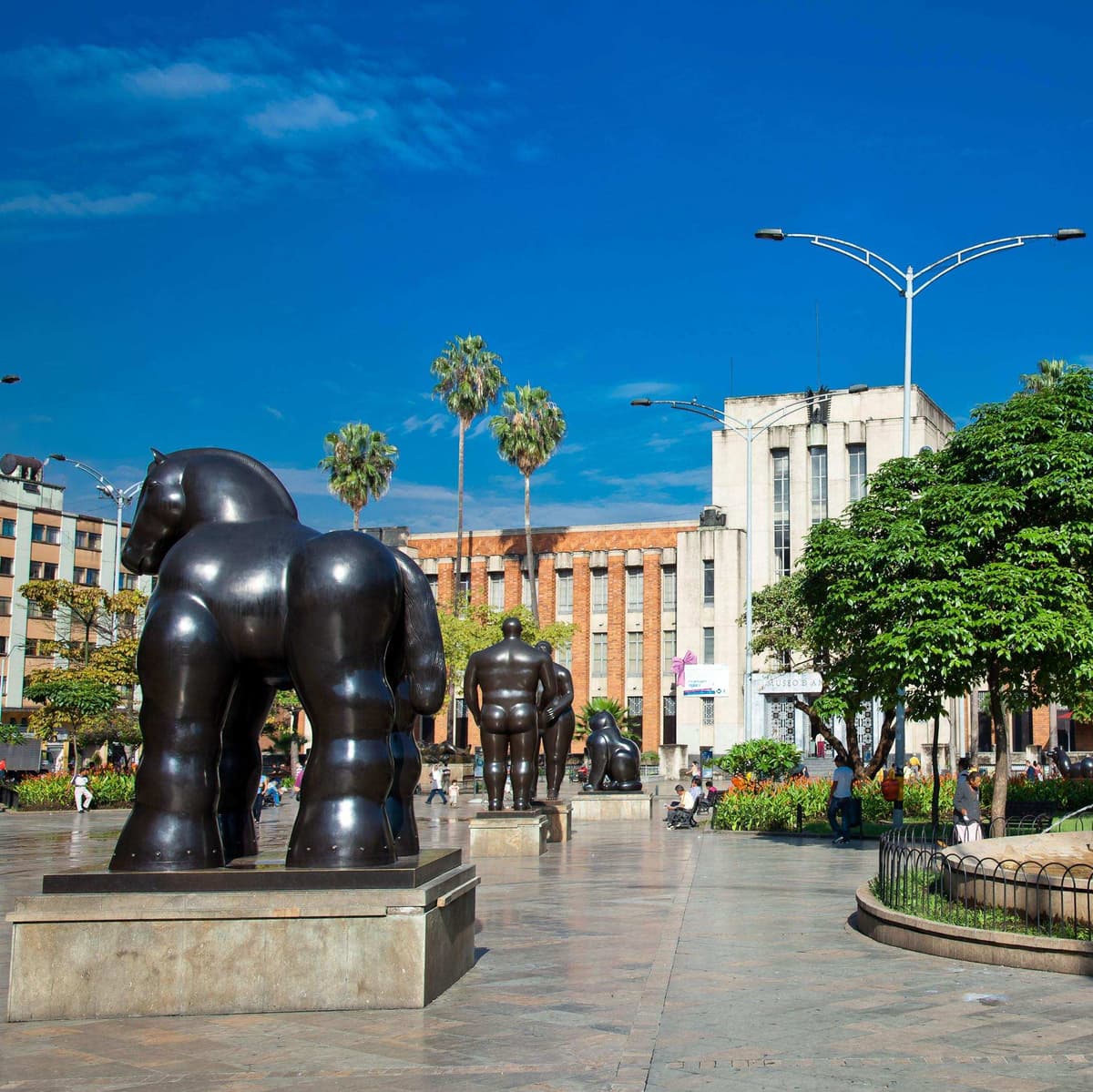 Día 1. Medellín - Traslado de llegada - Medellín