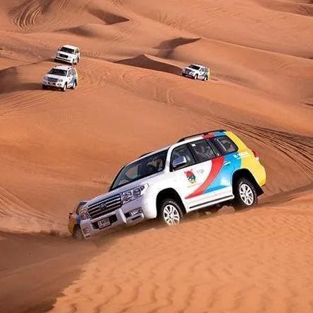 Safari por el Desierto en 4x4 - Sarja
