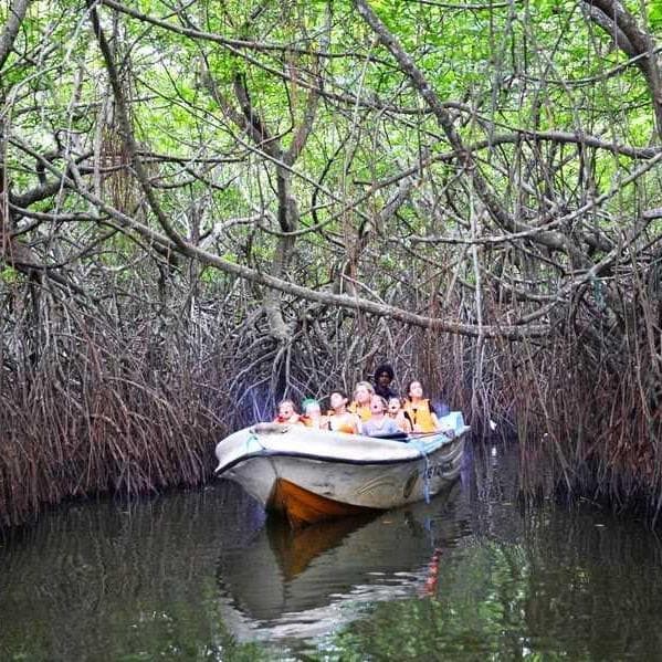  Bootstour auf dem Fluss Madu - Colombo