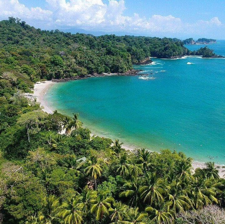 Día 5 : MONTEVERDE – MANUEL ANTONIO - Manuel Antonio