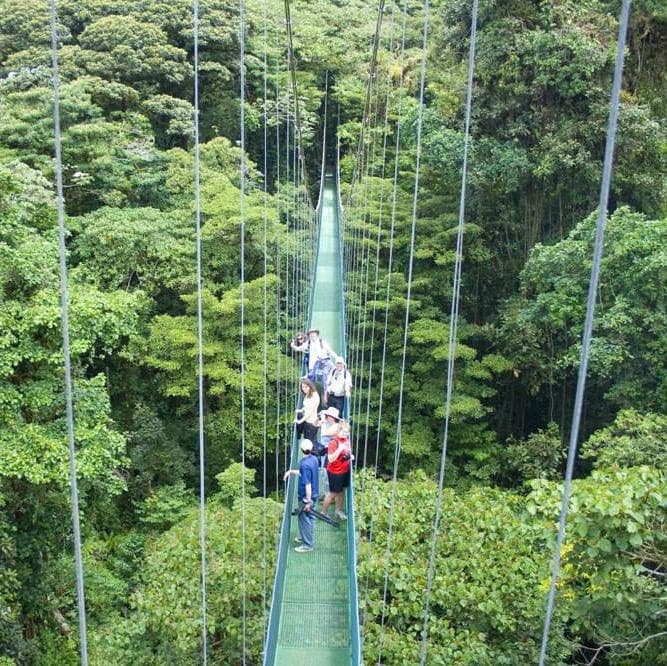 Día 4 : ARENAL – MONTEVERDE - Monteverde