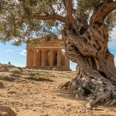 La Valle dei Templi di Agrigento, il parco archeologico del periodo ellenico fra i meglio conservati al mondo - Agrigento, Sicily