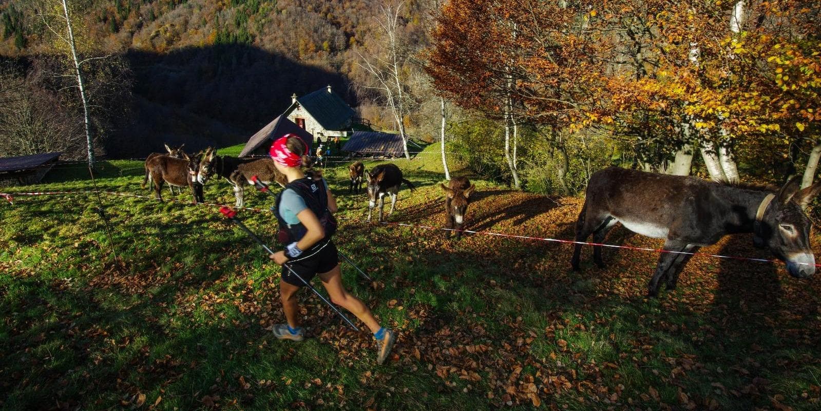 2Santuari Run & Trail