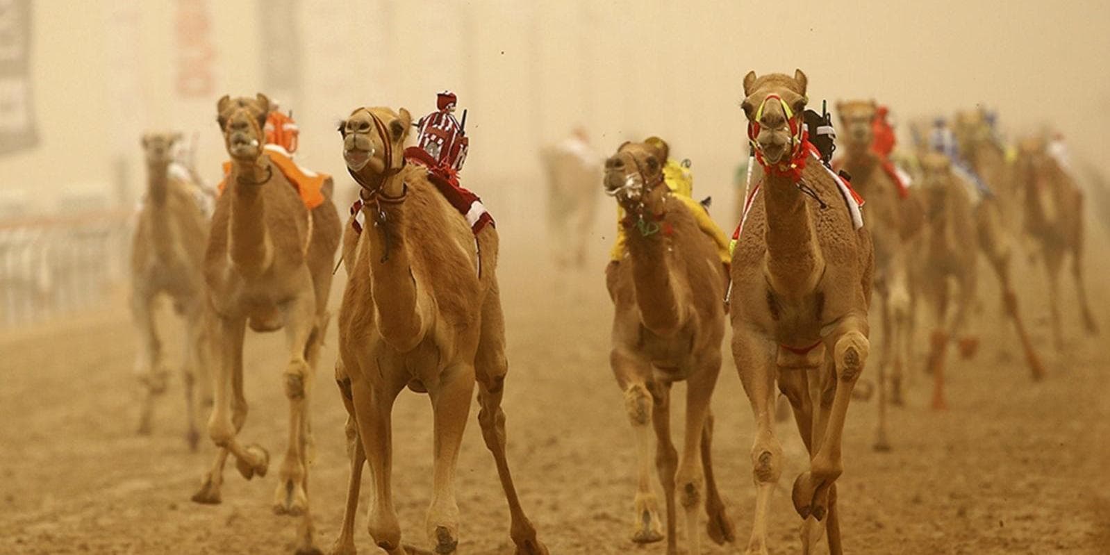 DAY 4: WEDNESDAY :ABU DHABI – AL AIN (150 km) ( B,L,D )