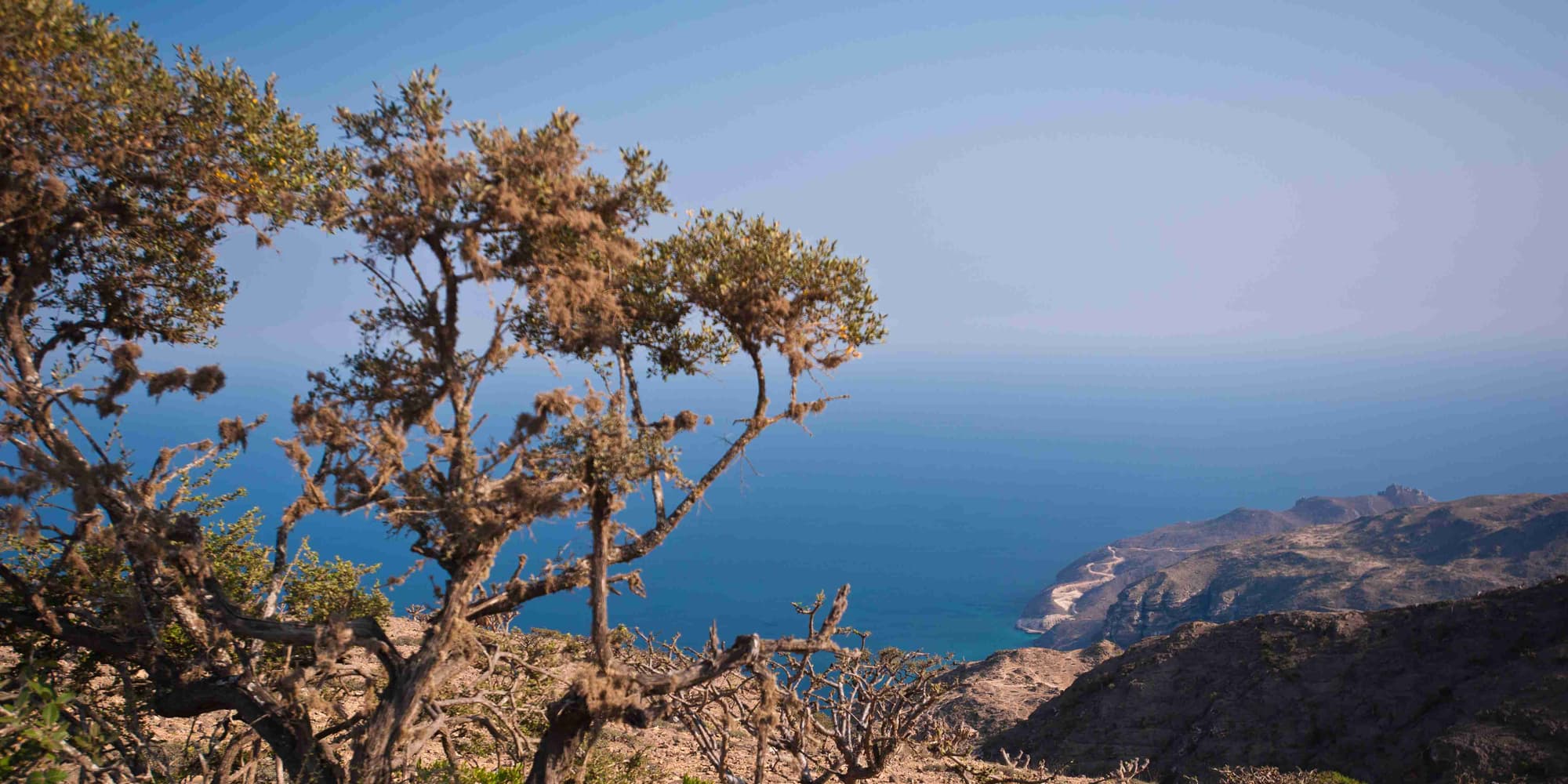 Day-2: Salalah West Tour (Full Day)