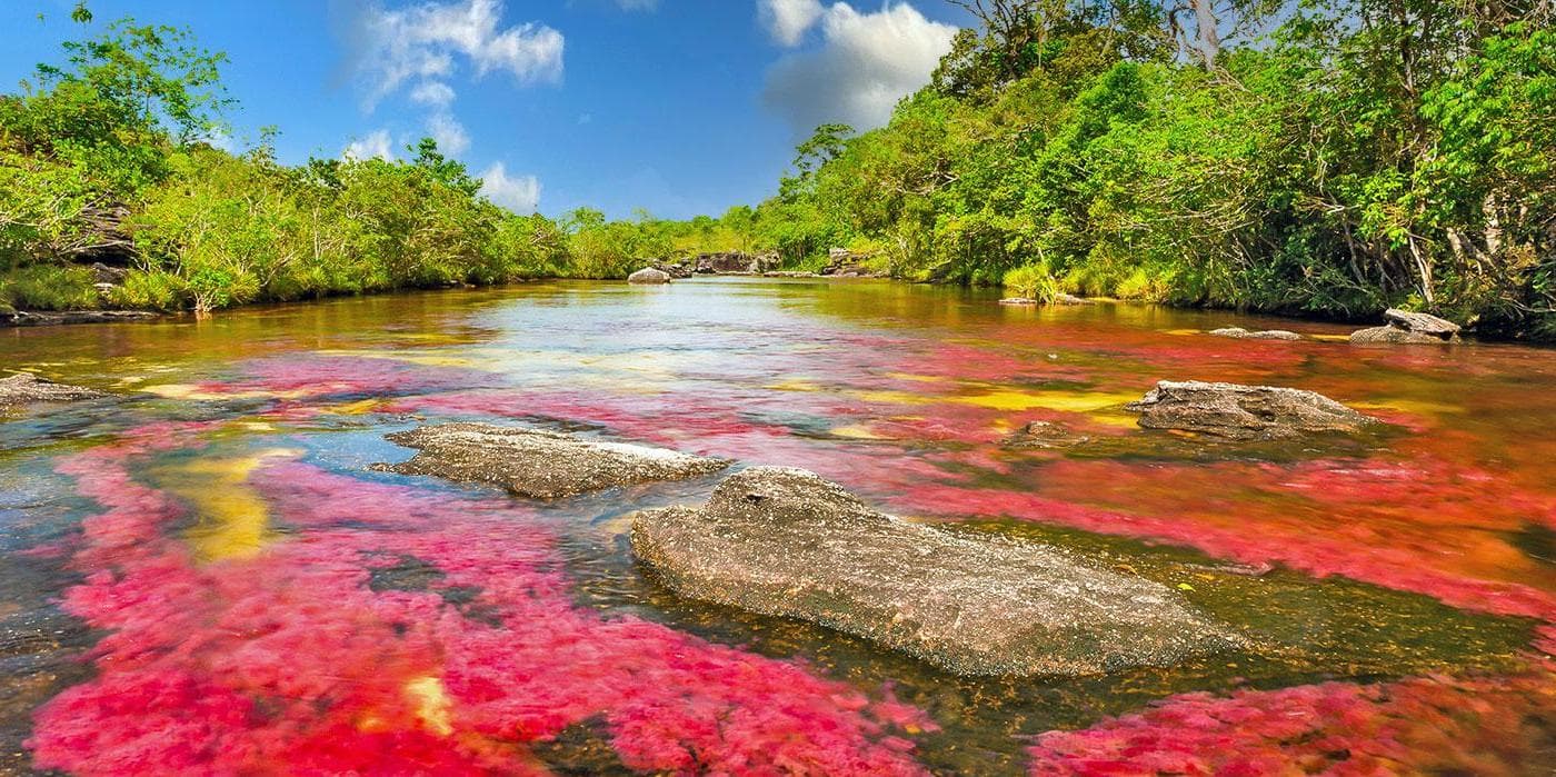 Dia 3. Bogotá - Caño Cristales