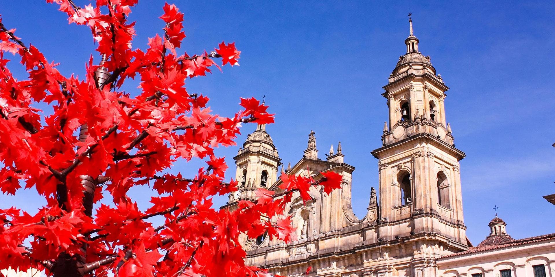 Dia 1 Bogotá - Traslado de chegada