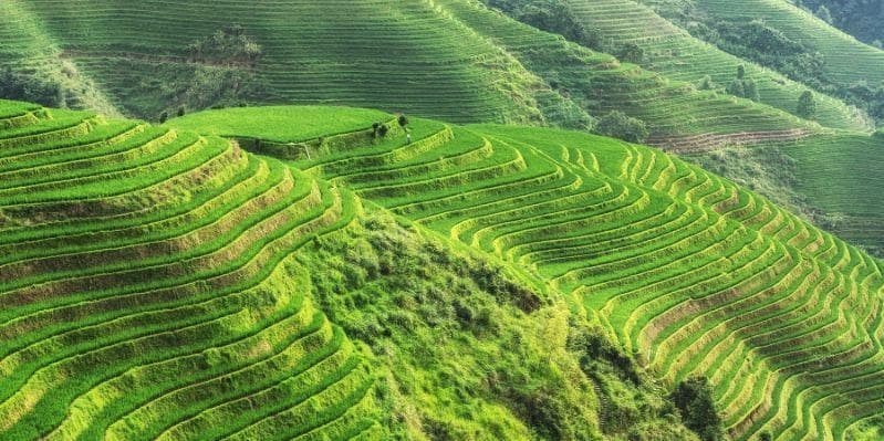 GUILIN / LONGJI / GUILIN