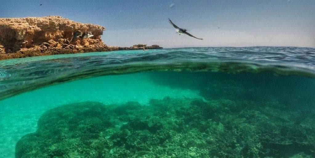 DAY 08: RAS AL JINZ – MUSCAT