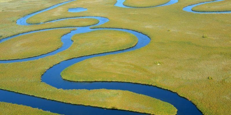 DELTA dell’OKAVANGO/ MOREMI GAME RESERVE