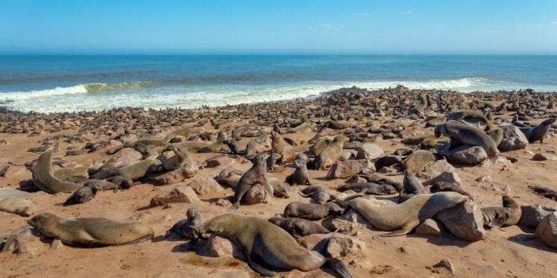 SWAKOPMUND/COSTA ATLANTICA/DAMARALAND
