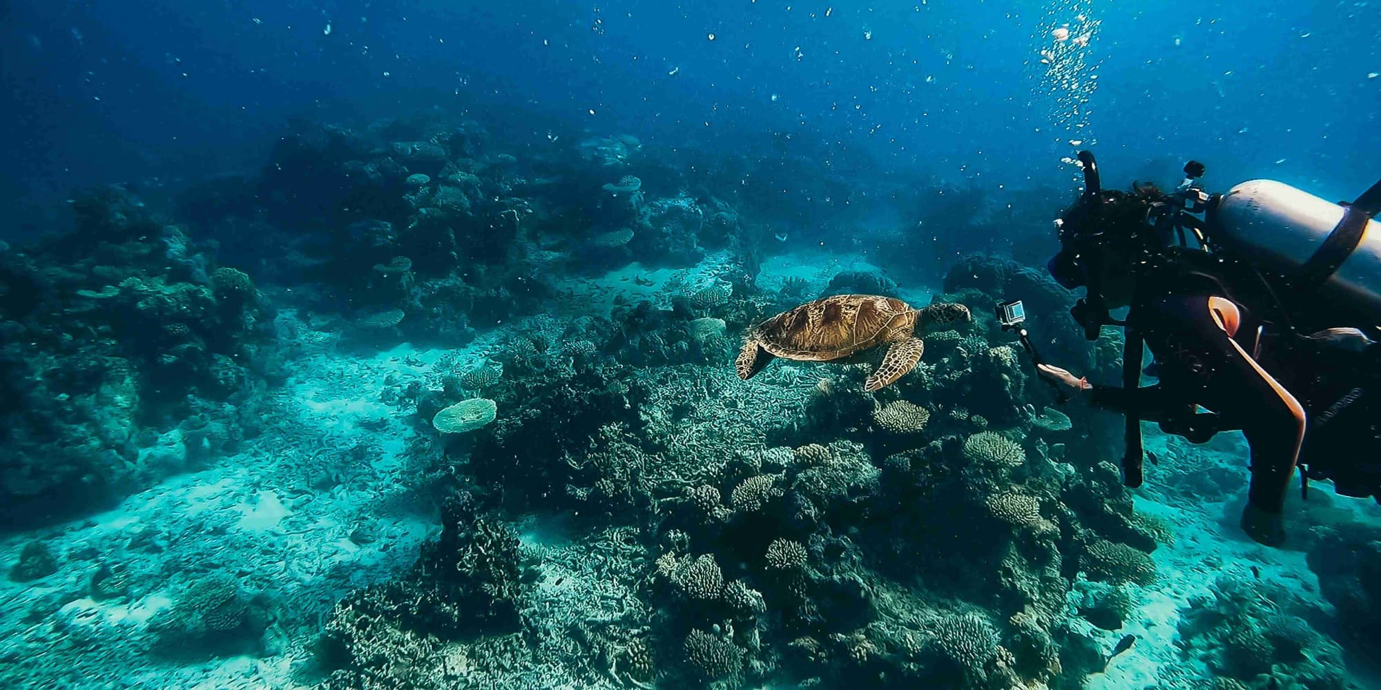 DIA 5: CAIRNS - GRANDE BARREIRA DE CORAIS
