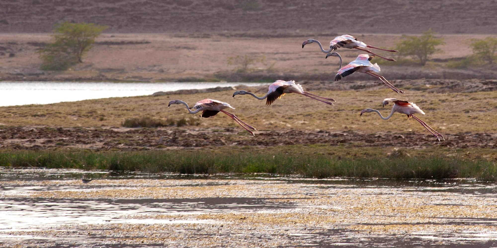 Day-3: East Salalah Tour (Full Day)