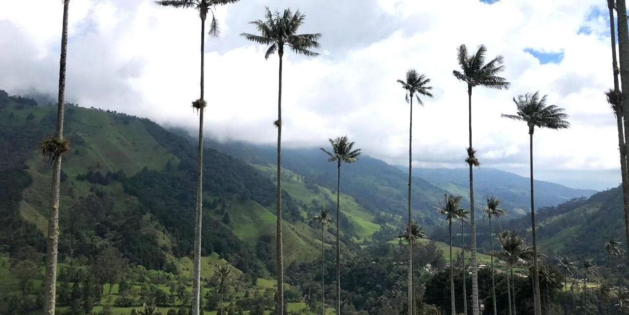 Dia 6. Pereira - Dia livre