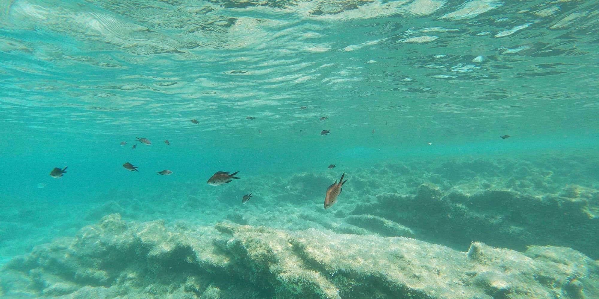 DIA 2: PRAIAS SECRETAS E BEM-ESTAR EM FORMENTERA