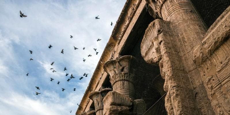 5 DÍA CRUCERO - LUXOR – ESNA – EDFU (D, A, C)