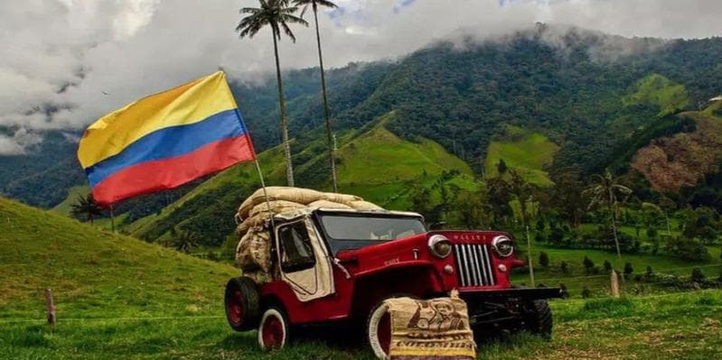 Dia 6. Pereira - Dia livre