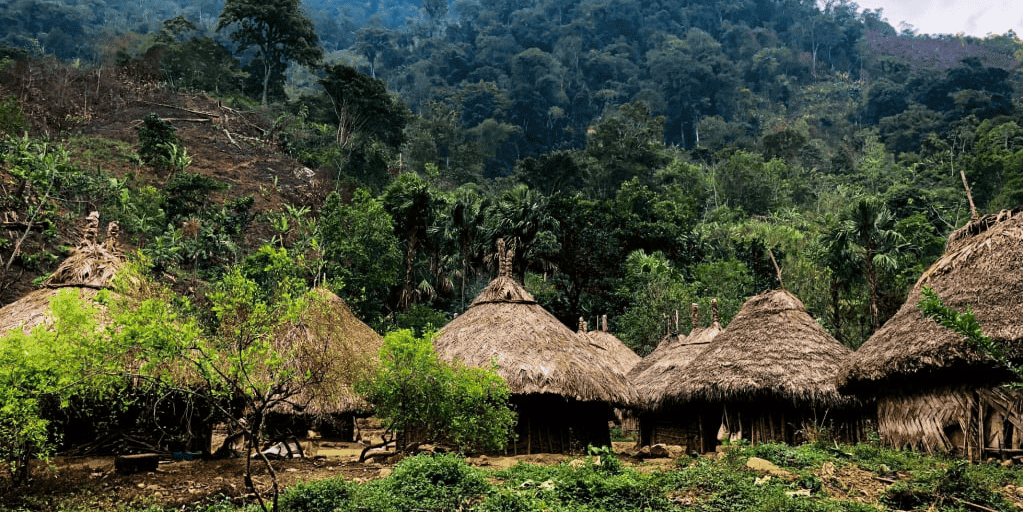 Día 4. Ciudad Perdida - Actividad de senderismo