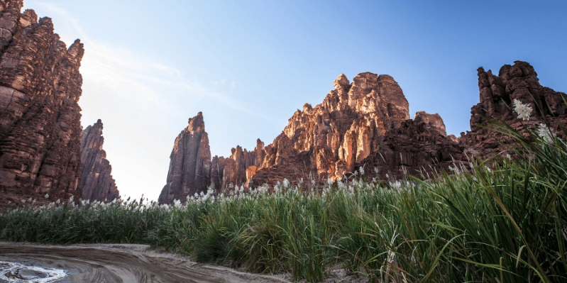 AL-‘ULA / TABUK / RIYADH