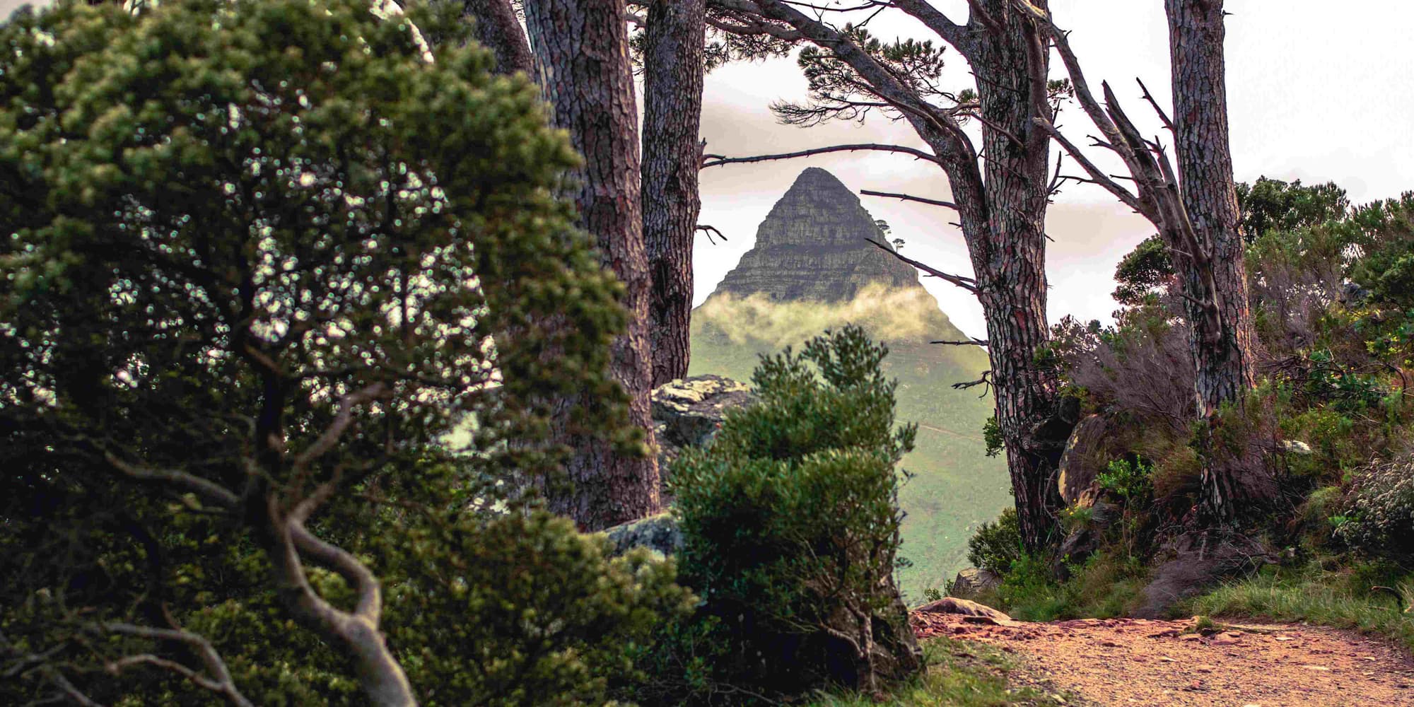 DIA 5: OBSERVAÇÃO DAS ESTRELAS E ÚLTIMA NOITE MÁGICA