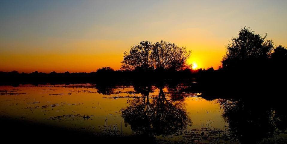 Giorno 01: Arrivo e Trasferimento a Habarana (circa 05 ore in auto)