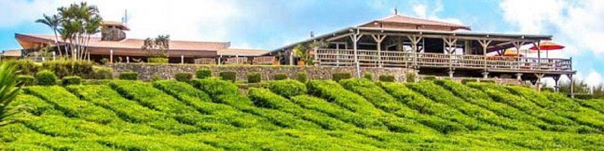 Bois Cheri, Mauricius