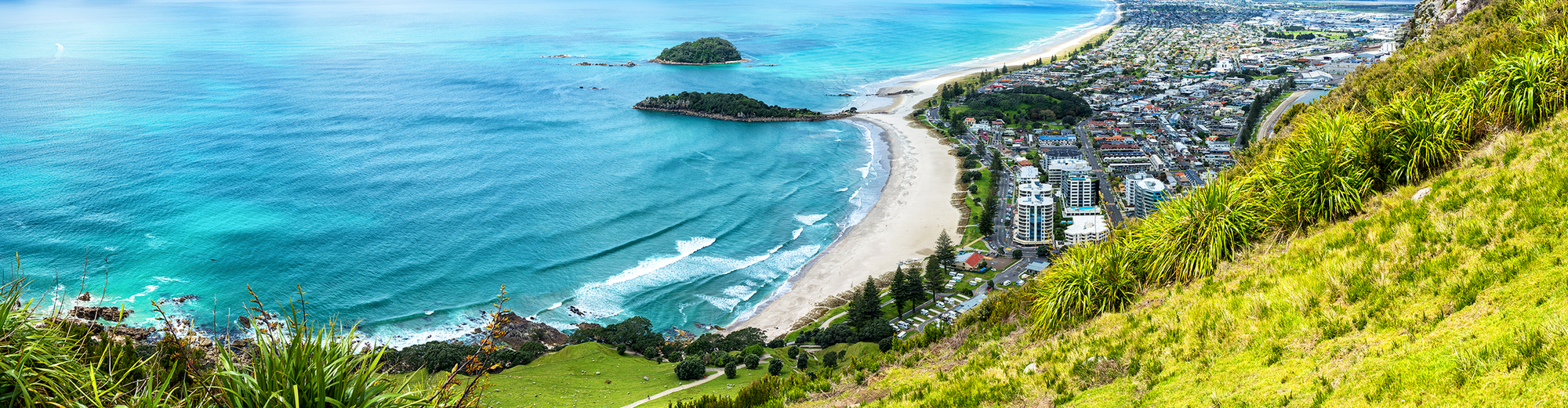 Tauranga, Nový Zéland