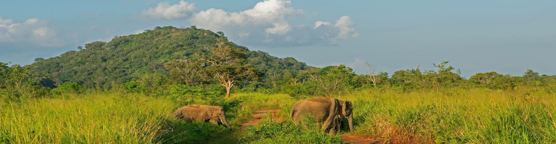 Udawalawe, Sri Lanka