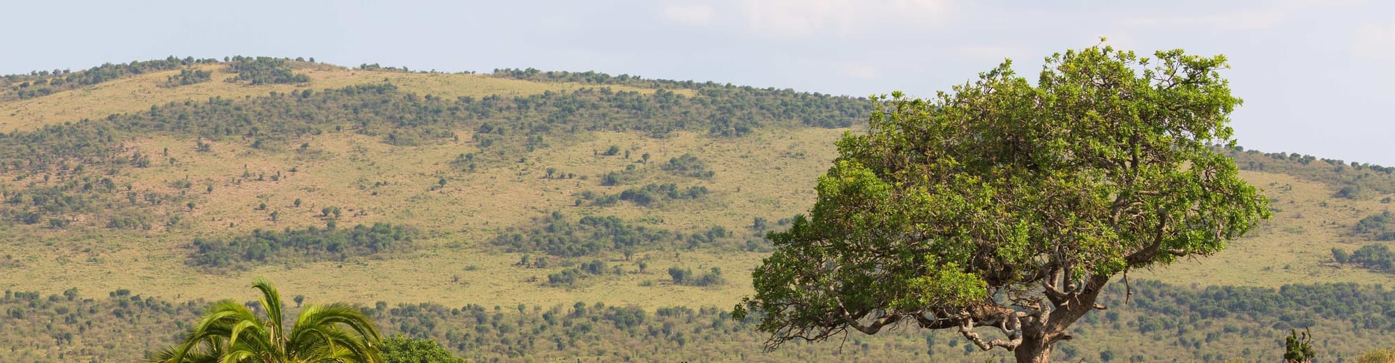 Sanbona Wildreservat, Südafrika