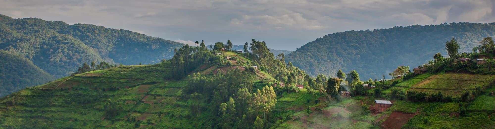 Bosque impenetrable Bwindi, Uganda