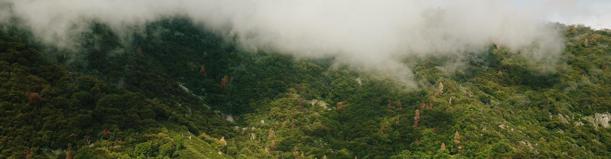 Sequoia and Kings Canyon National Park CA, Estados Unidos de América