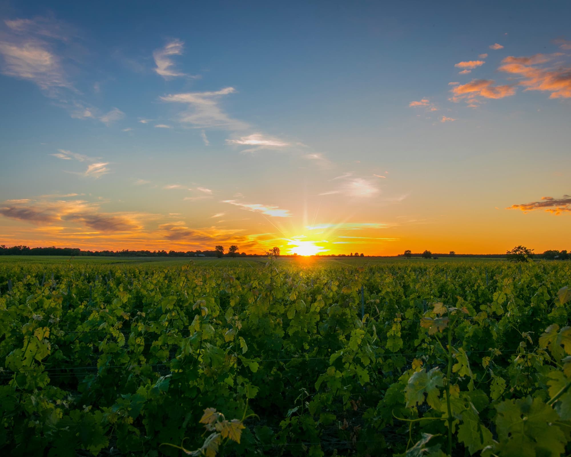 Cussac Fort Medoc, France