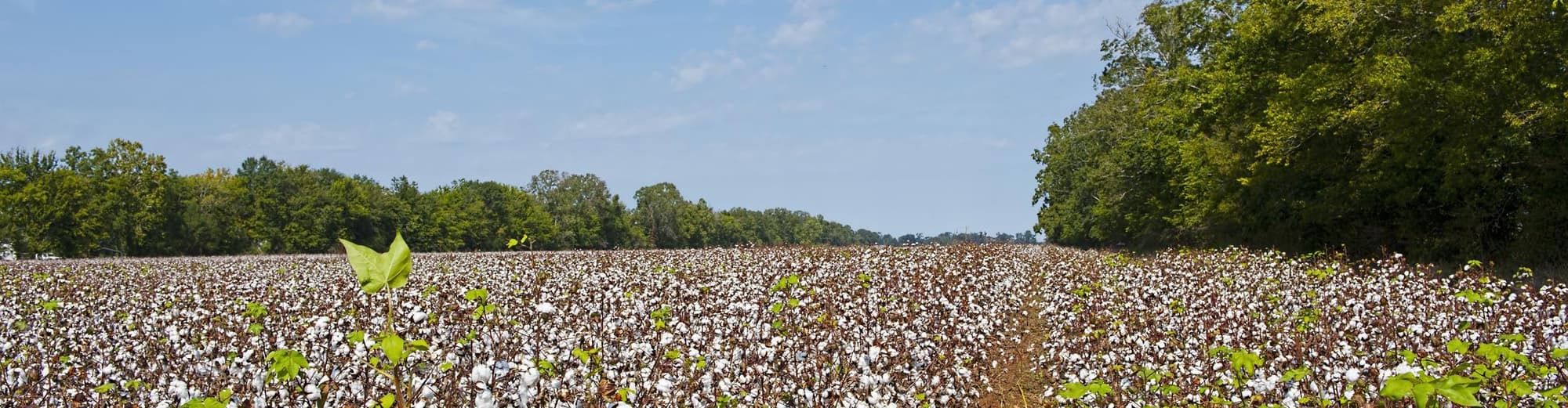 Alexandria LA, United States of America