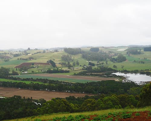 بورني, أستراليا