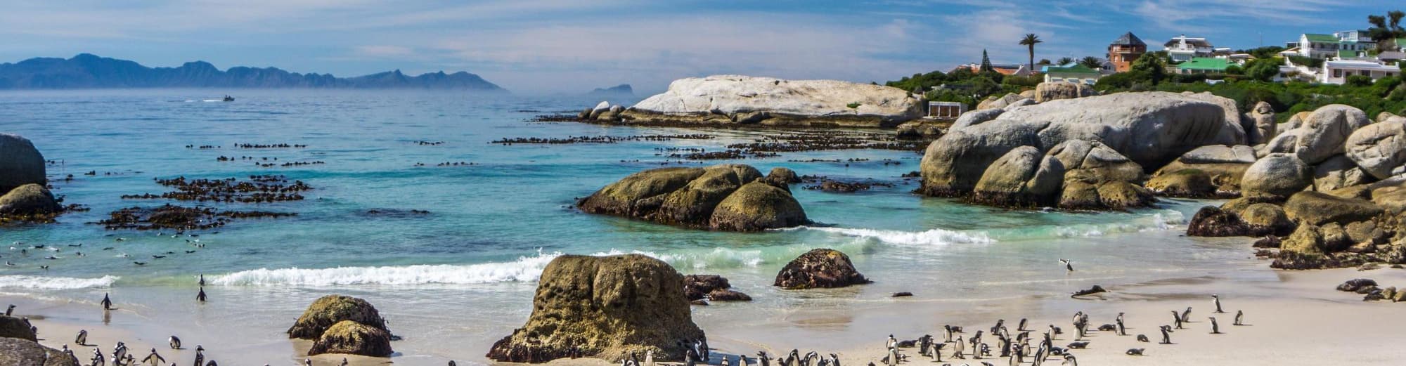 Boulders Beach, Südafrika