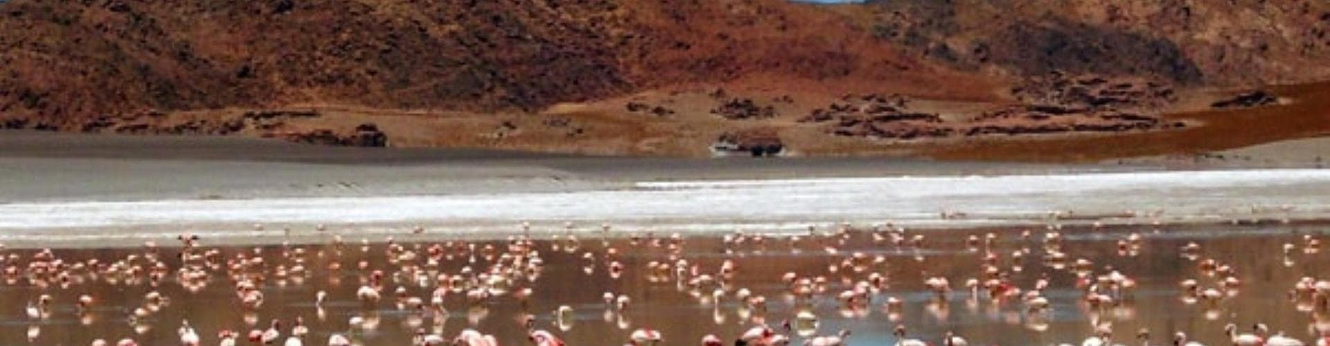 Antofagasta de las Sierras, Argentina