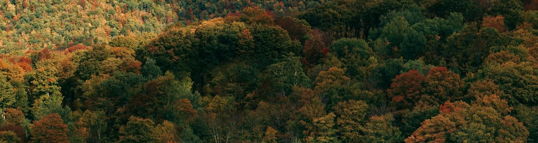 Santa Maria CA, Estados Unidos de América