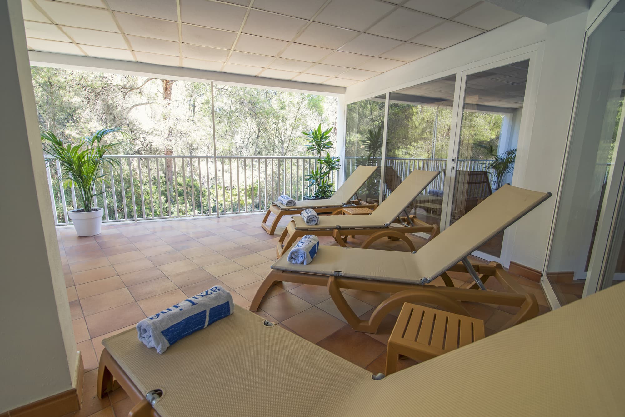 Azuline Hotel Bahamas, Sports and Entertainment