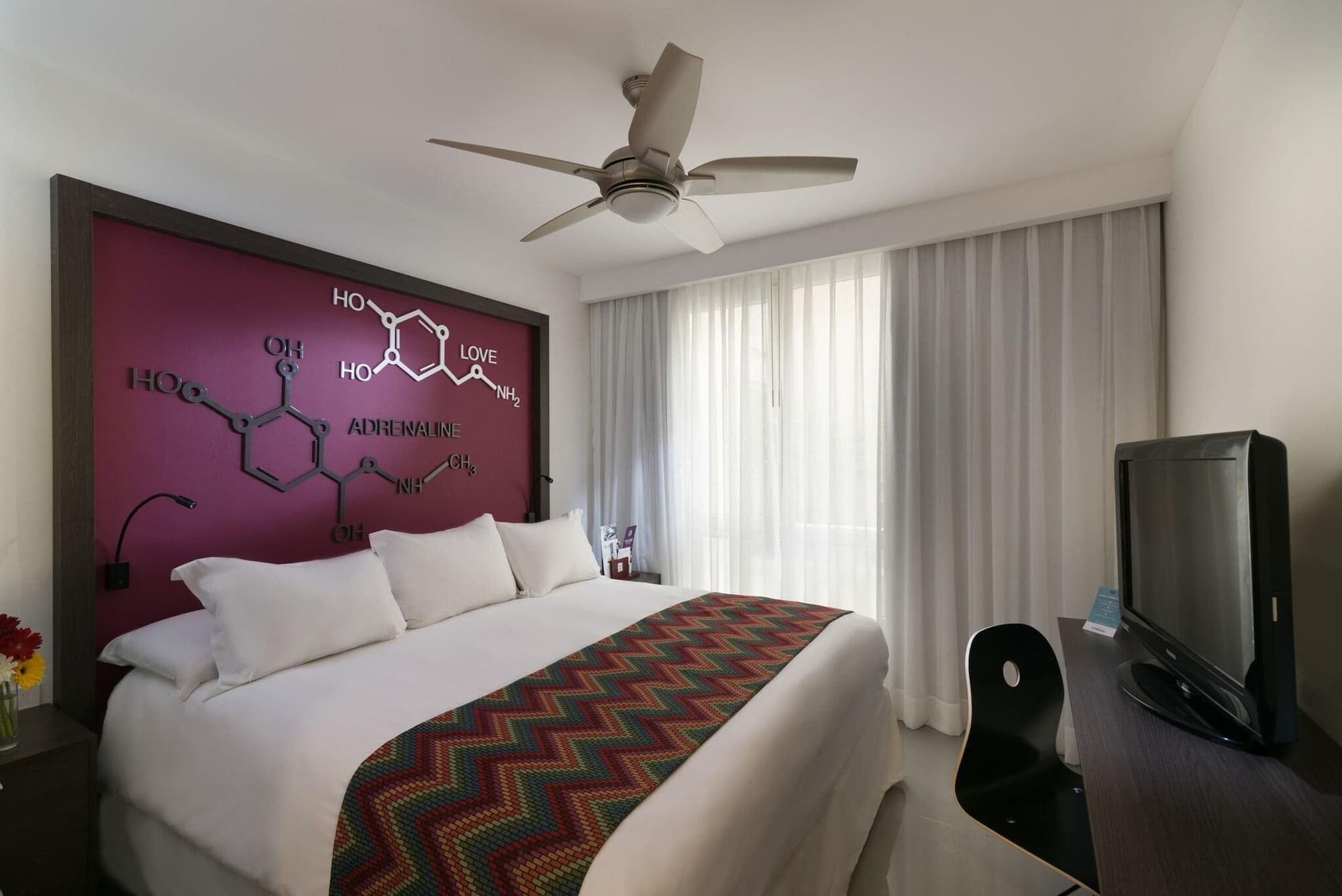 Novus Plaza Hodelpa, Room