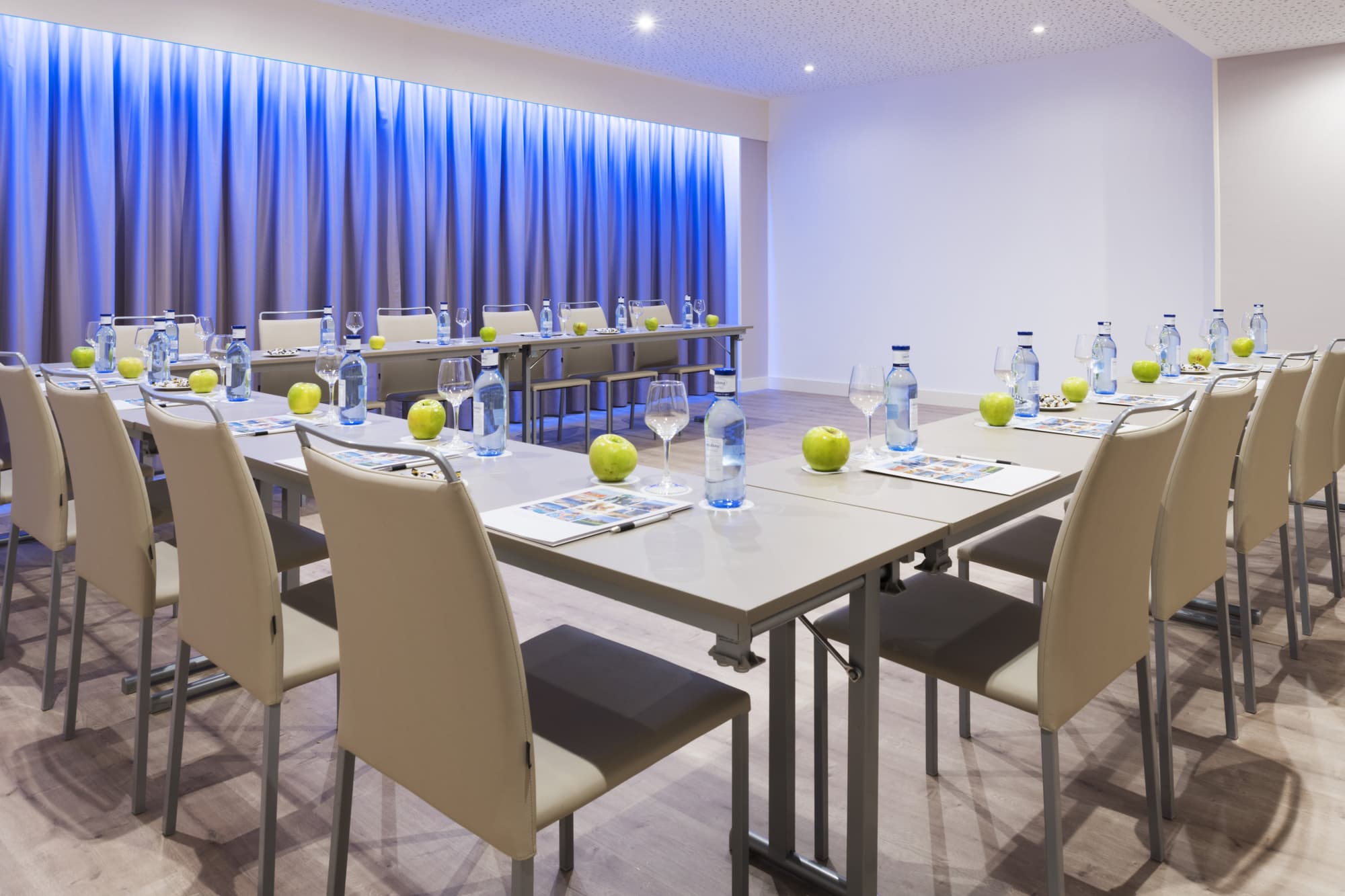 Elba Madrid Alcalá, Conferences