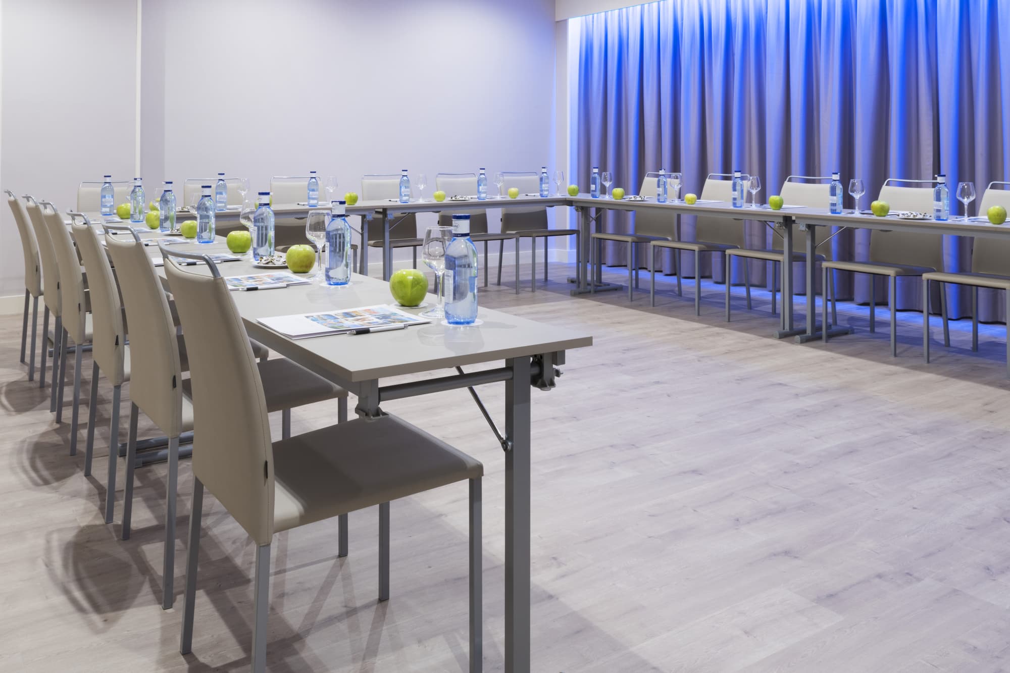 Elba Madrid Alcalá, Conferences