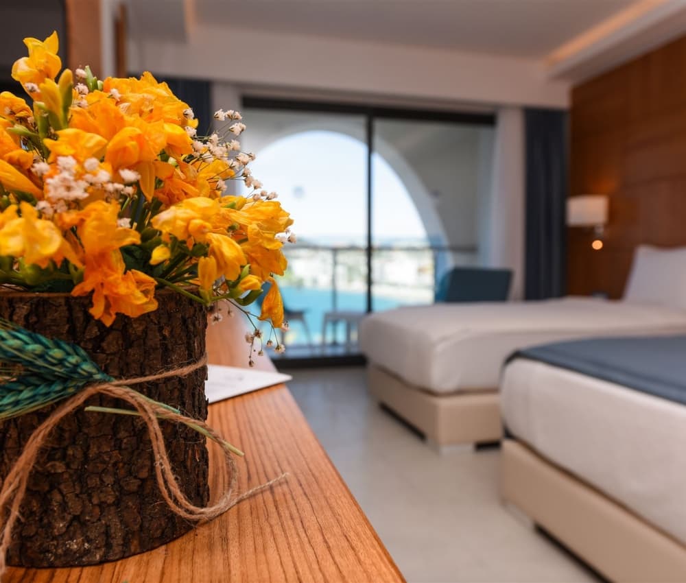 Infinity By Yelken Aquapark & Resorts, Room