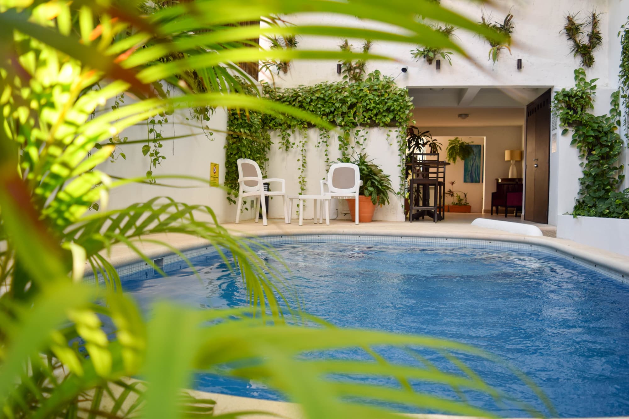 Casa Ticul, General view