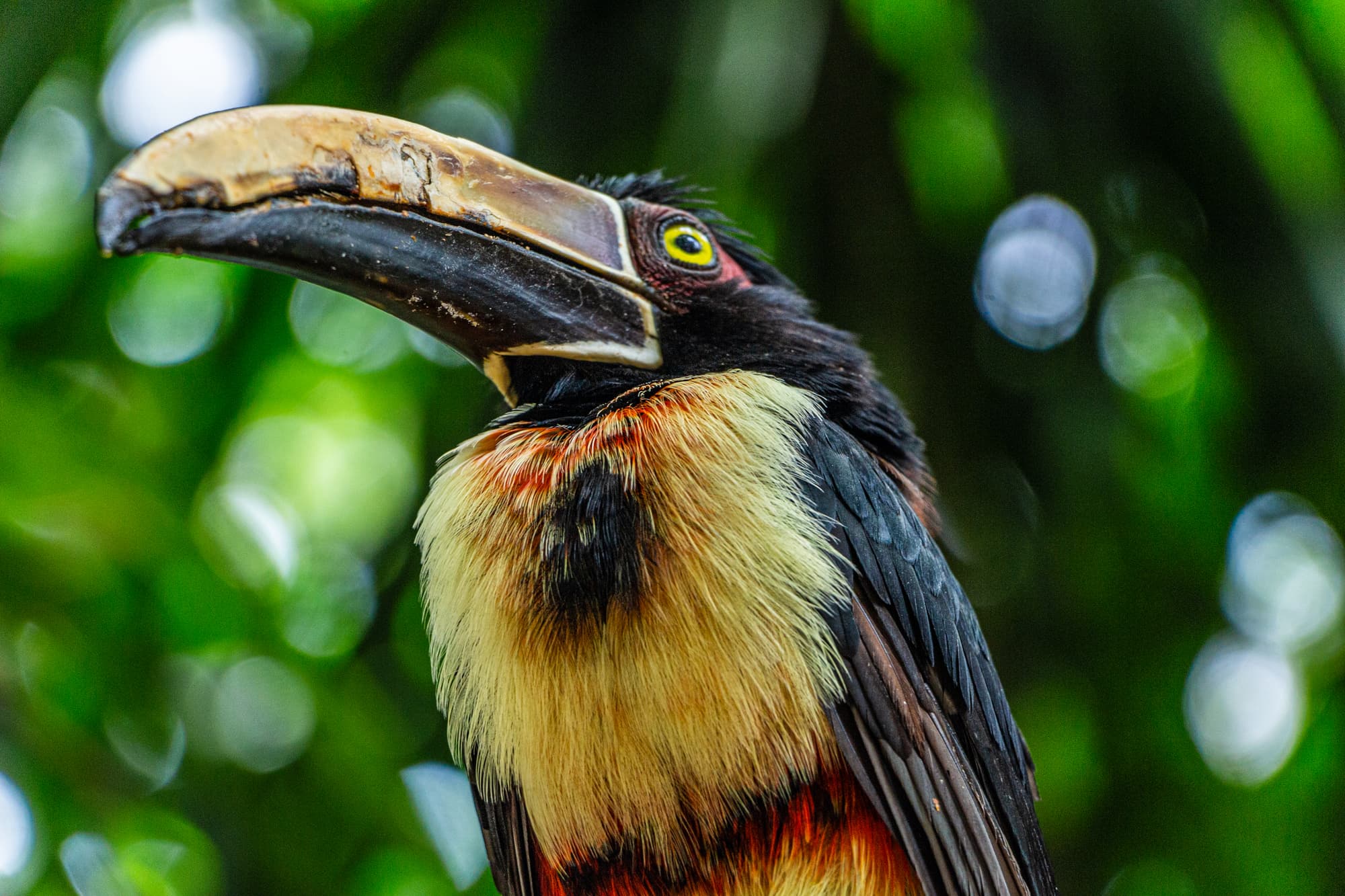 GHL Corales De Indias, Sports and Entertainment