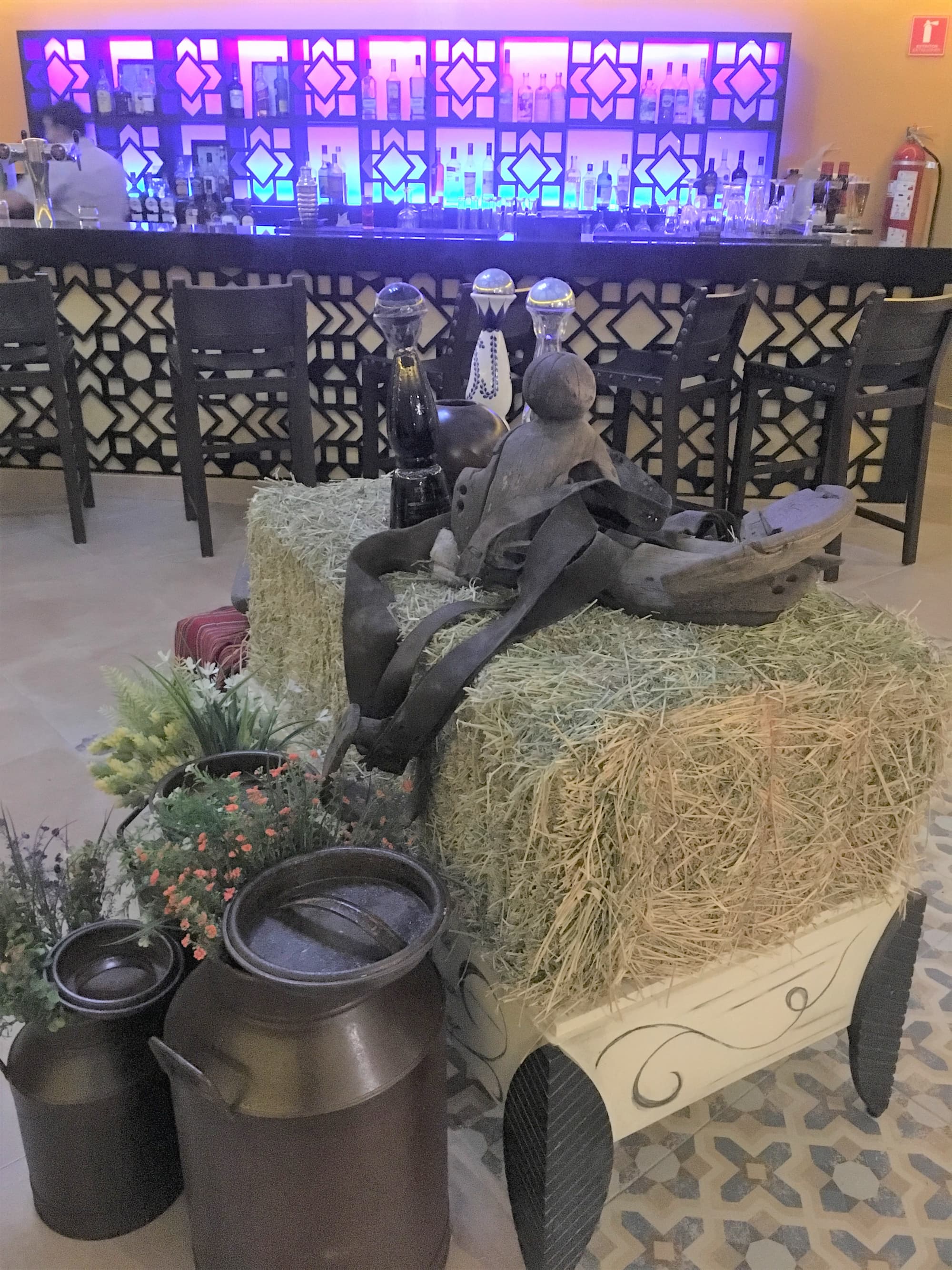 El Dorado Seaside Palms Spa Resort-All Inclusive, Bar